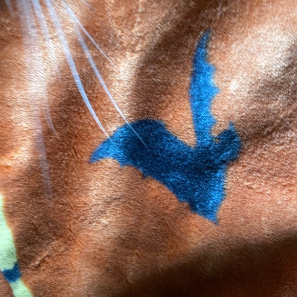 Rae Dunn Halloween Witch Throw Blanket Brooms And Bats - Picture 8 of 8